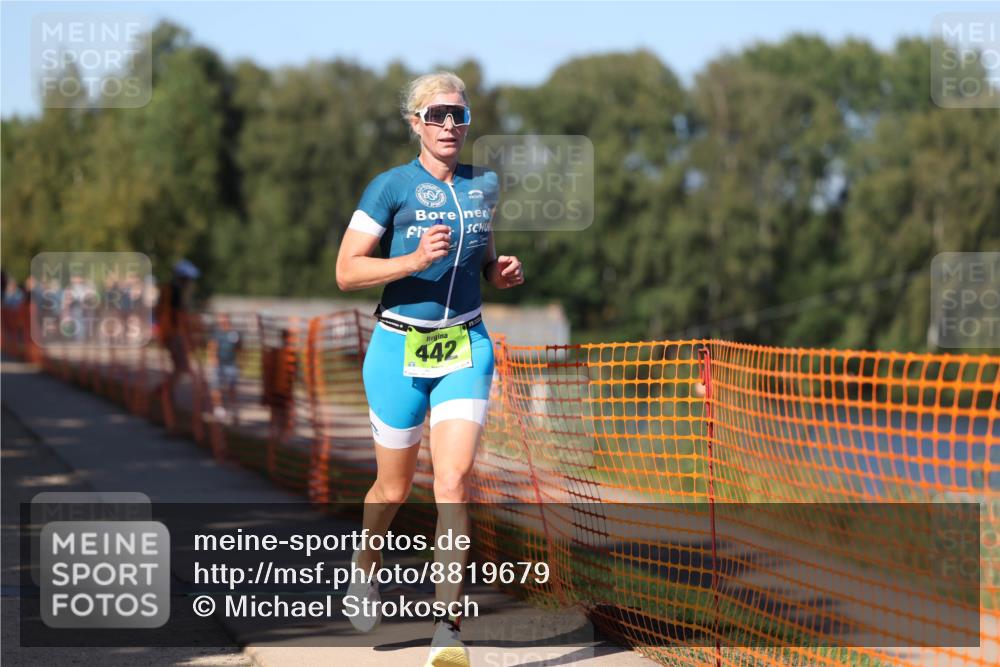 07.09.2025 - 19. Norderstedt Triathlon Michael Strokosch http://msf.ph/oto/8819679 07.09.2025 15:47:14 Laufen 420, 442, 1430 meine-sportfotos.de
