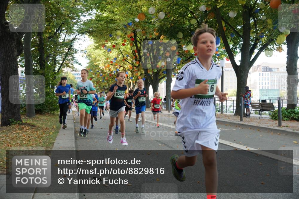 07.09.2025 - BARMER Alsterlauf Yannick Fuchs http://msf.ph/oto/8829816 07.09.2025 10:48:14 Laufen 261, 8412, 8209, 336, 163, 189, 6 meine-sportfotos.de