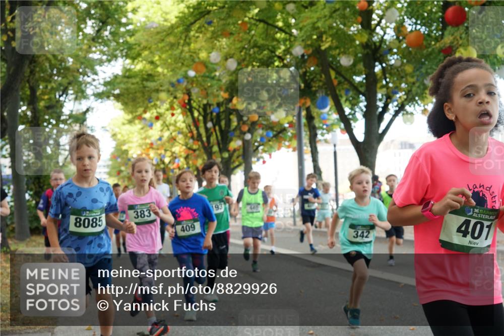 07.09.2025 - BARMER Alsterlauf Yannick Fuchs http://msf.ph/oto/8829926 07.09.2025 10:48:37 Laufen 342, 36, 401, 8085, 383, 409 meine-sportfotos.de
