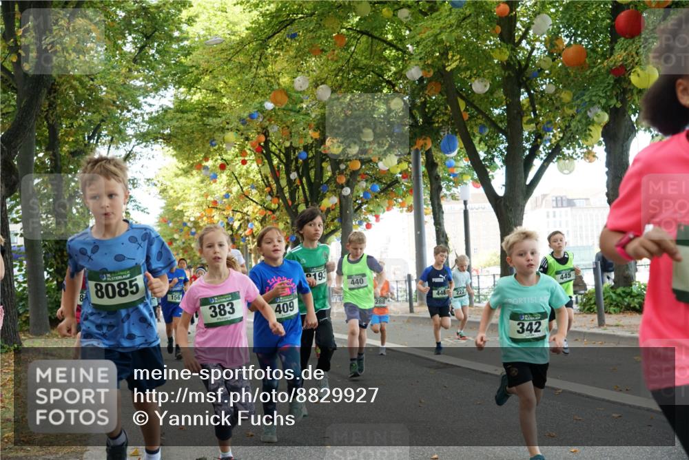 07.09.2025 - BARMER Alsterlauf Yannick Fuchs http://msf.ph/oto/8829927 07.09.2025 10:48:37 Laufen 135, 8085, 156, 383, 409, 193, 440, 288, 448, 222, 342, 445 meine-sportfotos.de