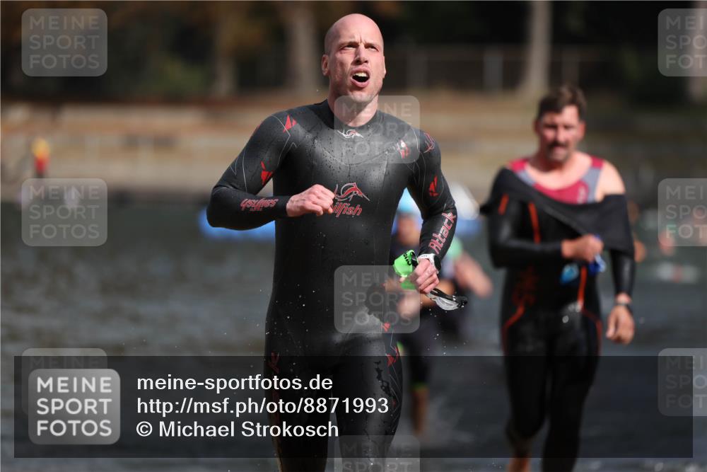 14.09.2025 - Stadtparktriathlon Michael Strokosch http://msf.ph/oto/8871993 14.09.2025 11:50:18 Schwimmen 1162, 1168, 1188, 1194, 1214 meine-sportfotos.de