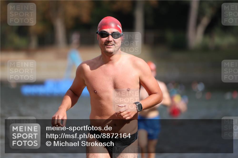 14.09.2025 - Stadtparktriathlon Michael Strokosch http://msf.ph/oto/8872164 14.09.2025 11:51:14 Schwimmen 1133, 1153, 1199, 1203 meine-sportfotos.de