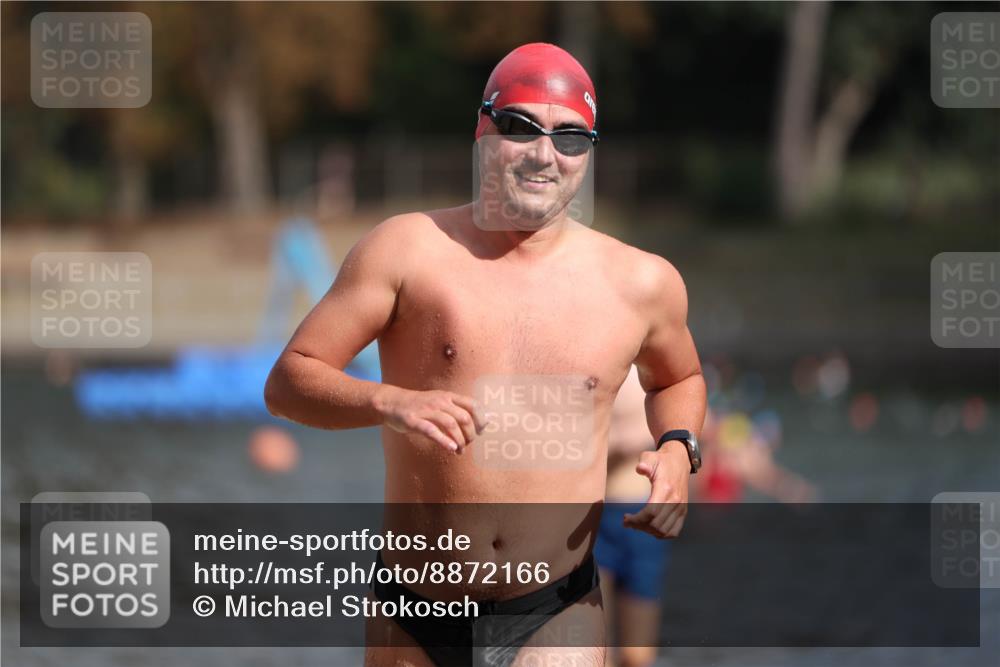 14.09.2025 - Stadtparktriathlon Michael Strokosch http://msf.ph/oto/8872166 14.09.2025 11:51:14 Schwimmen 1133, 1153, 1199, 1203 meine-sportfotos.de