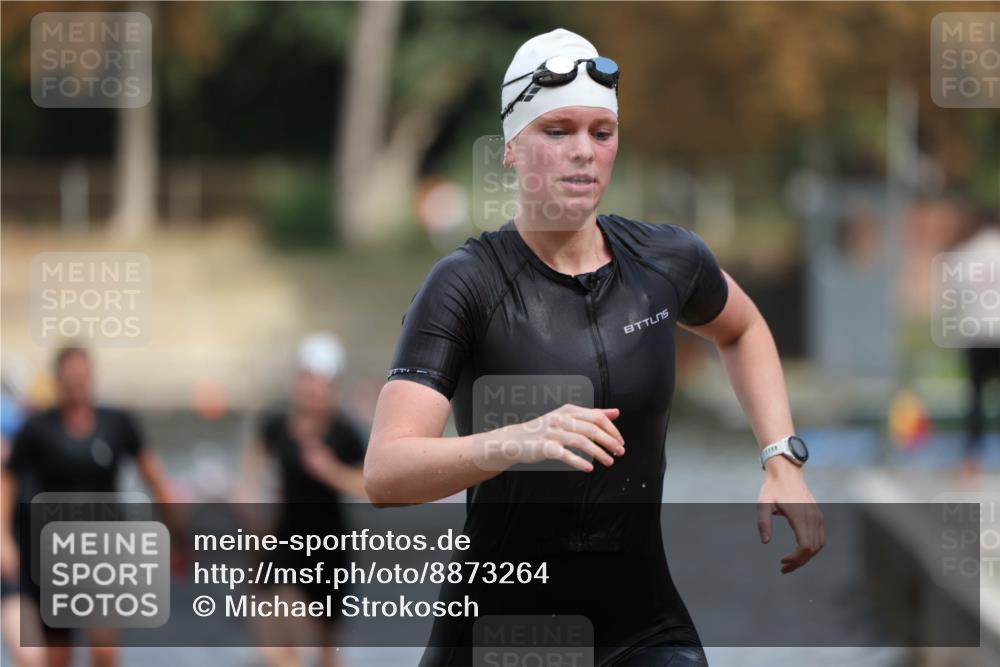 14.09.2025 - Stadtparktriathlon Michael Strokosch http://msf.ph/oto/8873264 14.09.2025 12:12:50 Schwimmen 1275, 1293, 1296, 1310, 1314 meine-sportfotos.de