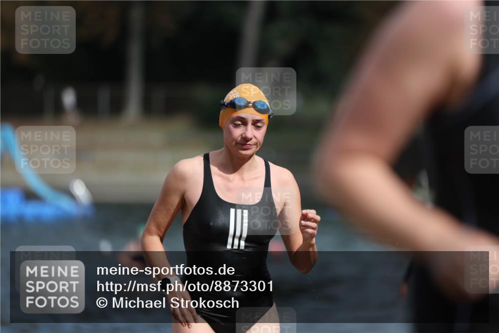 14.09.2025 - Stadtparktriathlon Michael Strokosch http://msf.ph/oto/8873301 14.09.2025 12:12:59 Schwimmen 1242, 1275, 1293, 1296 meine-sportfotos.de