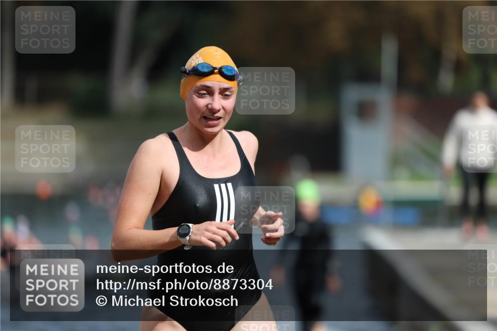 14.09.2025 - Stadtparktriathlon Michael Strokosch http://msf.ph/oto/8873304 14.09.2025 12:13:00 Schwimmen 1242, 1275, 1296 meine-sportfotos.de