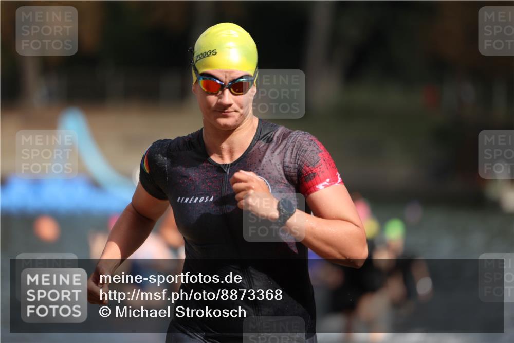 14.09.2025 - Stadtparktriathlon Michael Strokosch http://msf.ph/oto/8873368 14.09.2025 12:13:23 Schwimmen 1222, 1223, 1251, 1257, 1264, 1267, 1277, 1286, 1321 meine-sportfotos.de