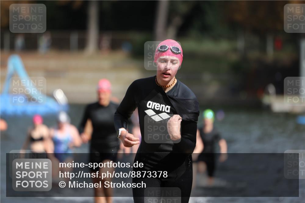 14.09.2025 - Stadtparktriathlon Michael Strokosch http://msf.ph/oto/8873378 14.09.2025 12:13:27 Schwimmen 1222, 1251, 1257, 1264, 1277, 1286, 1312, 1321 meine-sportfotos.de