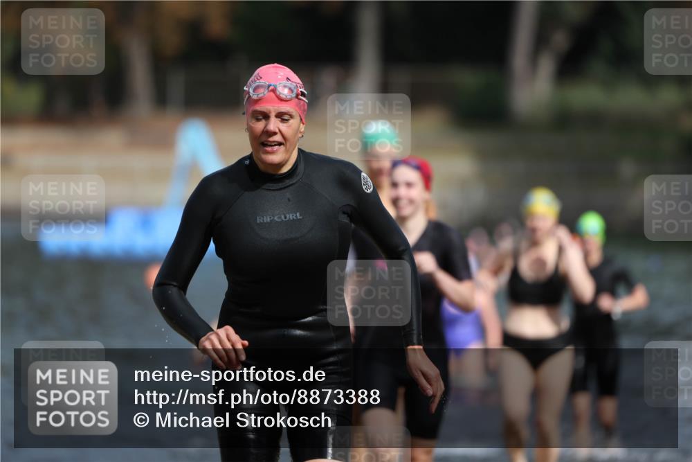 14.09.2025 - Stadtparktriathlon Michael Strokosch http://msf.ph/oto/8873388 14.09.2025 12:13:30 Schwimmen 1222, 1251, 1257, 1264, 1277, 1286, 1312, 1321 meine-sportfotos.de