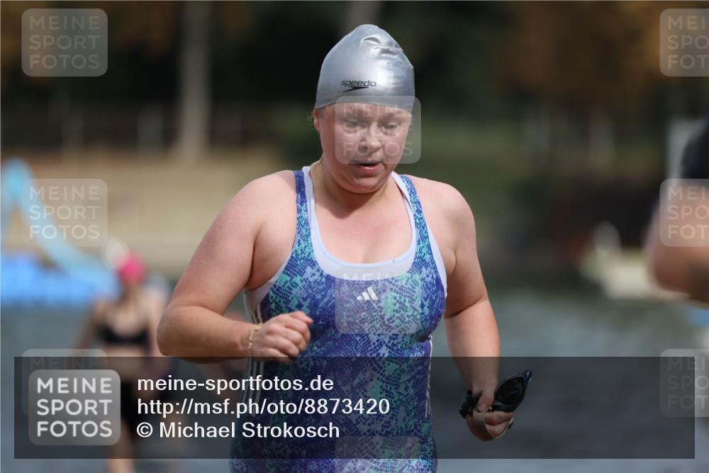 14.09.2025 - Stadtparktriathlon Michael Strokosch http://msf.ph/oto/8873420 14.09.2025 12:13:38 Schwimmen 1222, 1263, 1277, 1291, 1312, 1319 meine-sportfotos.de