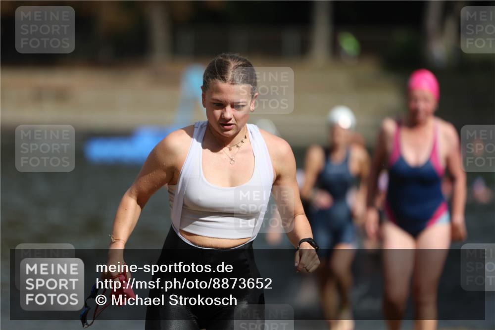 14.09.2025 - Stadtparktriathlon Michael Strokosch http://msf.ph/oto/8873652 14.09.2025 12:14:54 Schwimmen 1254, 1268, 1273, 1299, 1303, 1308, 1315 meine-sportfotos.de