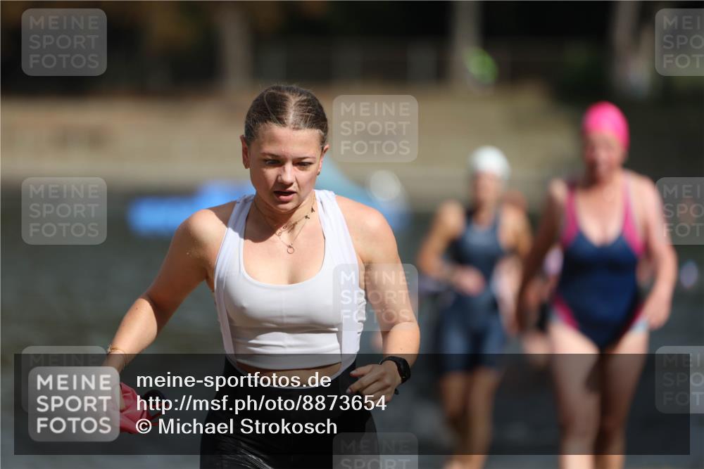 14.09.2025 - Stadtparktriathlon Michael Strokosch http://msf.ph/oto/8873654 14.09.2025 12:14:54 Schwimmen 1254, 1268, 1273, 1299, 1303, 1308, 1315 meine-sportfotos.de