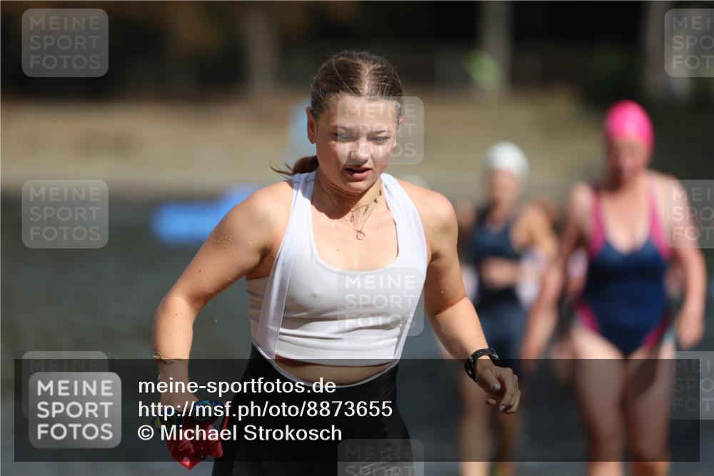14.09.2025 - Stadtparktriathlon Michael Strokosch http://msf.ph/oto/8873655 14.09.2025 12:14:54 Schwimmen 1254, 1268, 1273, 1299, 1303, 1308, 1315 meine-sportfotos.de