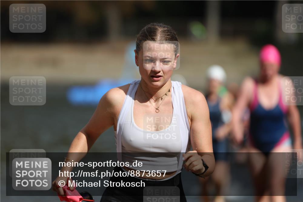 14.09.2025 - Stadtparktriathlon Michael Strokosch http://msf.ph/oto/8873657 14.09.2025 12:14:55 Schwimmen 1254, 1268, 1273, 1299, 1303, 1308 meine-sportfotos.de