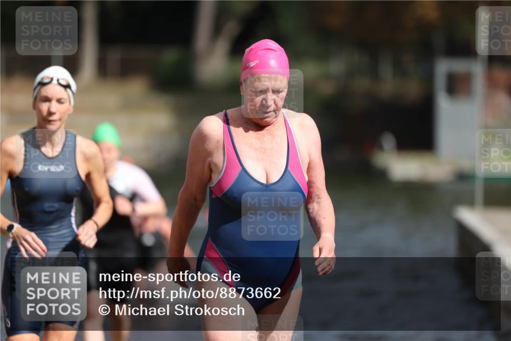 14.09.2025 - Stadtparktriathlon Michael Strokosch http://msf.ph/oto/8873662 14.09.2025 12:14:57 Schwimmen 1254, 1273, 1299, 1303, 1308 meine-sportfotos.de