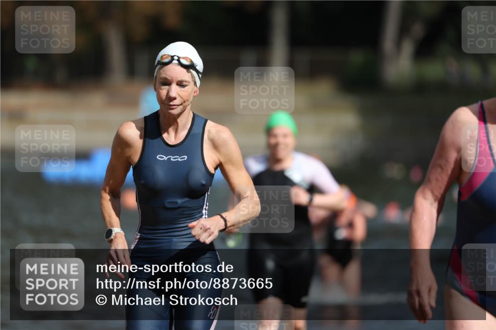 14.09.2025 - Stadtparktriathlon Michael Strokosch http://msf.ph/oto/8873665 14.09.2025 12:14:58 Schwimmen 1254, 1273, 1303, 1308 meine-sportfotos.de
