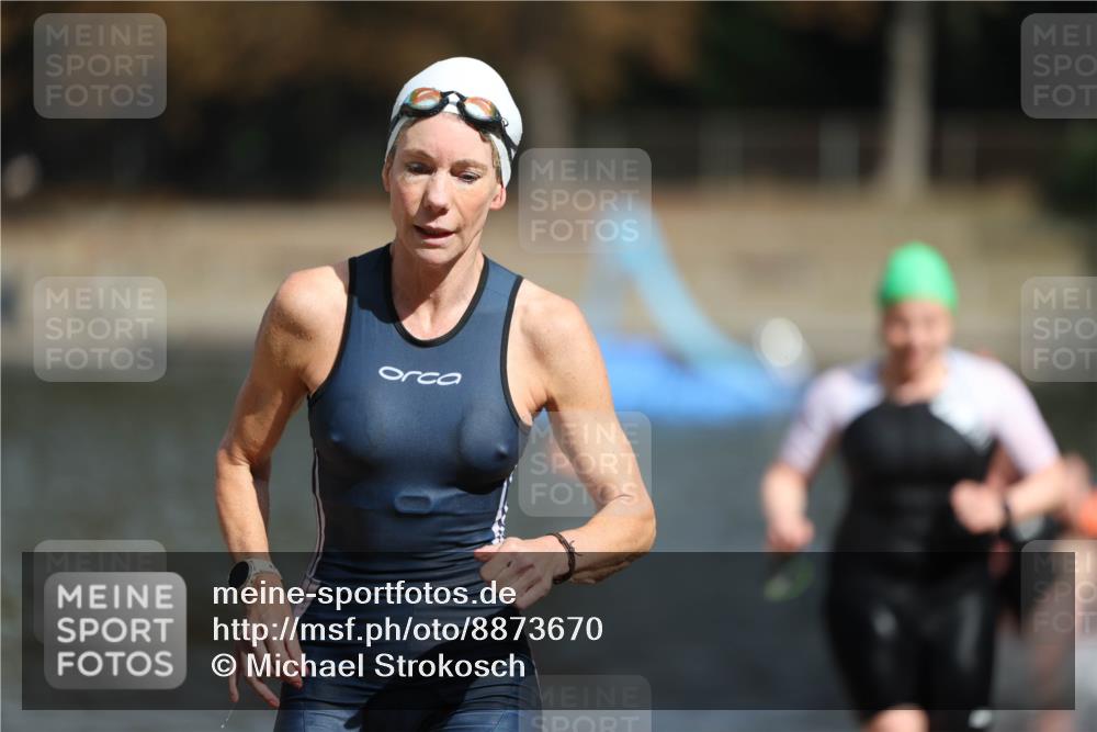 14.09.2025 - Stadtparktriathlon Michael Strokosch http://msf.ph/oto/8873670 14.09.2025 12:14:59 Schwimmen 1254, 1273, 1303, 1308 meine-sportfotos.de