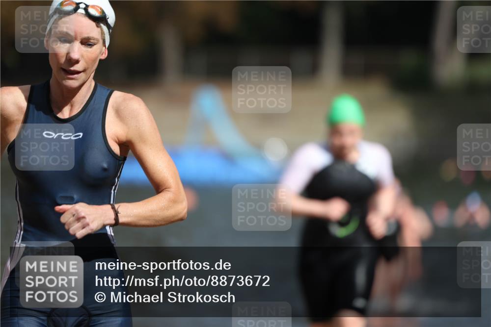 14.09.2025 - Stadtparktriathlon Michael Strokosch http://msf.ph/oto/8873672 14.09.2025 12:14:59 Schwimmen 1254, 1273, 1303, 1308 meine-sportfotos.de