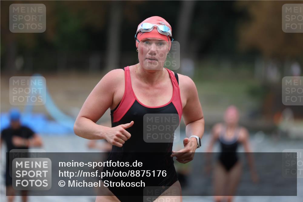 14.09.2025 - Stadtparktriathlon Michael Strokosch http://msf.ph/oto/8875176 14.09.2025 12:53:42 Schwimmen 1427, 1436, 1450, 1453, 1467, 1497 meine-sportfotos.de