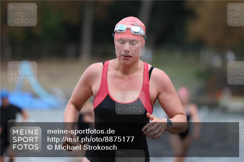 14.09.2025 - Stadtparktriathlon Michael Strokosch http://msf.ph/oto/8875177 14.09.2025 12:53:42 Schwimmen 1427, 1436, 1450, 1453, 1467, 1497 meine-sportfotos.de