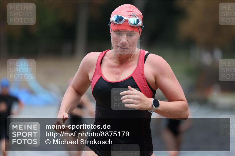 14.09.2025 - Stadtparktriathlon Michael Strokosch http://msf.ph/oto/8875179 14.09.2025 12:53:43 Schwimmen 1427, 1436, 1450, 1453, 1456, 1467, 1497 meine-sportfotos.de