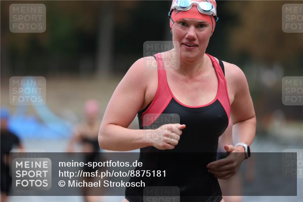 14.09.2025 - Stadtparktriathlon Michael Strokosch http://msf.ph/oto/8875181 14.09.2025 12:53:43 Schwimmen 1427, 1436, 1450, 1453, 1456, 1467, 1497 meine-sportfotos.de
