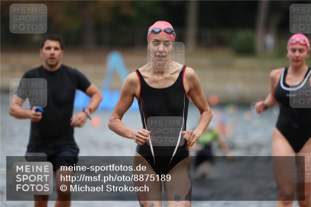 14.09.2025 - Stadtparktriathlon Michael Strokosch http://msf.ph/oto/8875189 14.09.2025 12:53:46 Schwimmen 1436, 1450, 1456, 1467, 1497 meine-sportfotos.de