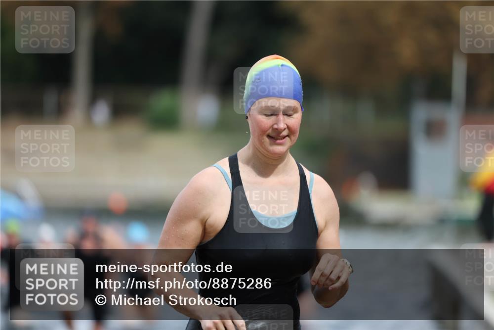 14.09.2025 - Stadtparktriathlon Michael Strokosch http://msf.ph/oto/8875286 14.09.2025 12:54:26 Schwimmen 1462, 1465, 1484, 1506, 1507, 1519 meine-sportfotos.de