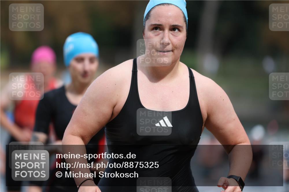 14.09.2025 - Stadtparktriathlon Michael Strokosch http://msf.ph/oto/8875325 14.09.2025 12:54:41 Schwimmen 1434, 1437, 1447, 1465, 1471, 1507 meine-sportfotos.de