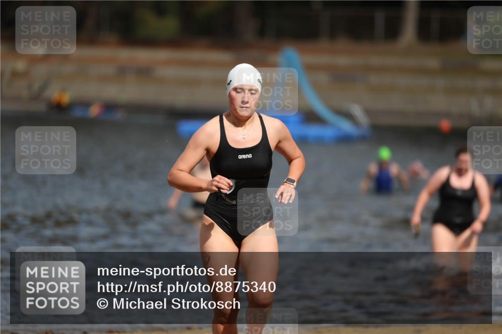 14.09.2025 - Stadtparktriathlon Michael Strokosch http://msf.ph/oto/8875340 14.09.2025 12:54:48 Schwimmen 1435, 1437, 1454, 1493, 1501 meine-sportfotos.de