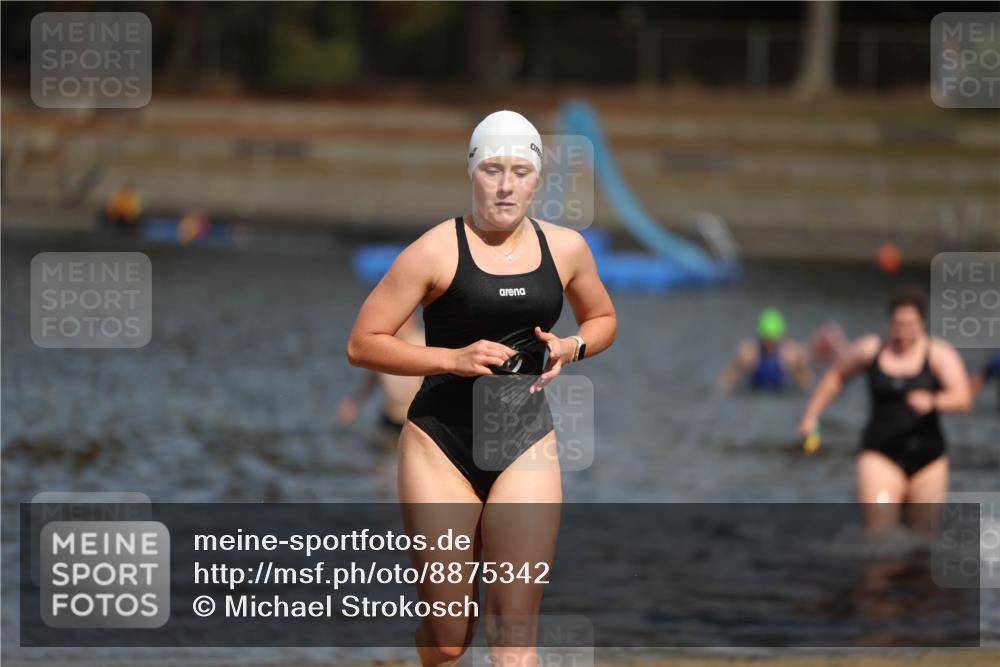 14.09.2025 - Stadtparktriathlon Michael Strokosch http://msf.ph/oto/8875342 14.09.2025 12:54:48 Schwimmen 1435, 1437, 1454, 1493, 1501 meine-sportfotos.de