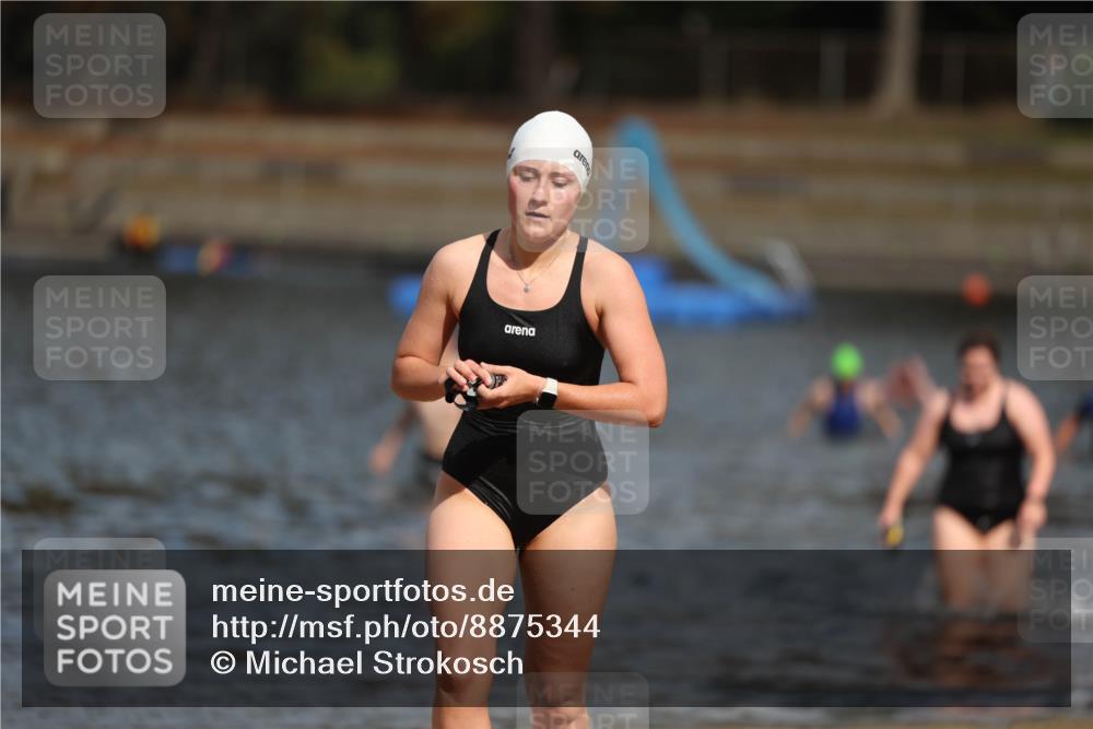 14.09.2025 - Stadtparktriathlon Michael Strokosch http://msf.ph/oto/8875344 14.09.2025 12:54:48 Schwimmen 1435, 1437, 1454, 1493, 1501 meine-sportfotos.de