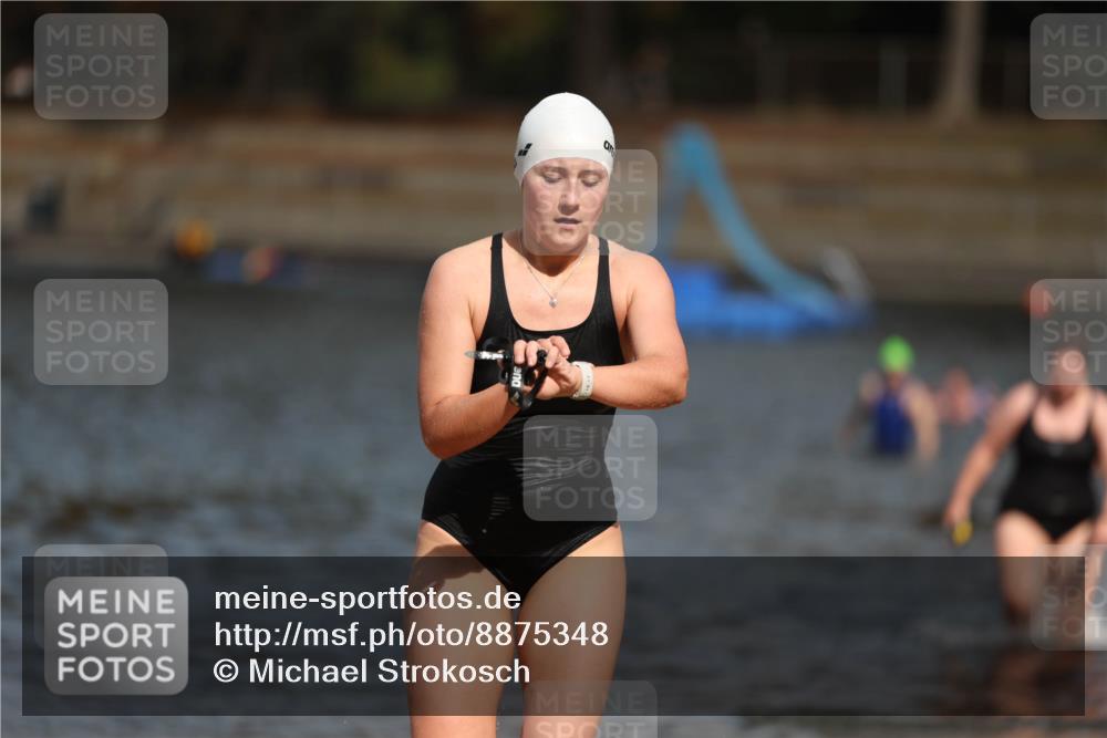 14.09.2025 - Stadtparktriathlon Michael Strokosch http://msf.ph/oto/8875348 14.09.2025 12:54:49 Schwimmen 1435, 1437, 1454, 1493, 1501 meine-sportfotos.de