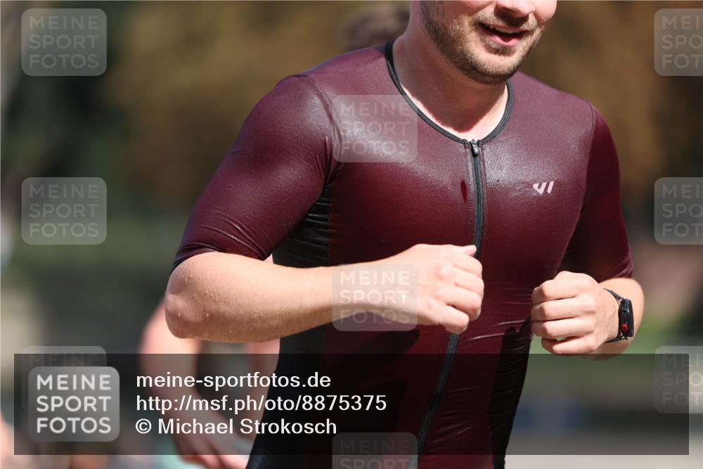 14.09.2025 - Stadtparktriathlon Michael Strokosch http://msf.ph/oto/8875375 14.09.2025 12:54:58 Schwimmen 1435, 1454, 1481, 1493, 1501 meine-sportfotos.de
