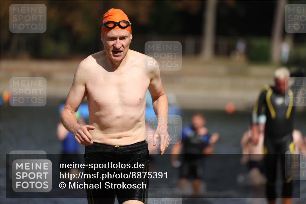 14.09.2025 - Stadtparktriathlon Michael Strokosch http://msf.ph/oto/8875391 14.09.2025 12:55:03 Schwimmen 1477, 1481, 1490, 1505 meine-sportfotos.de