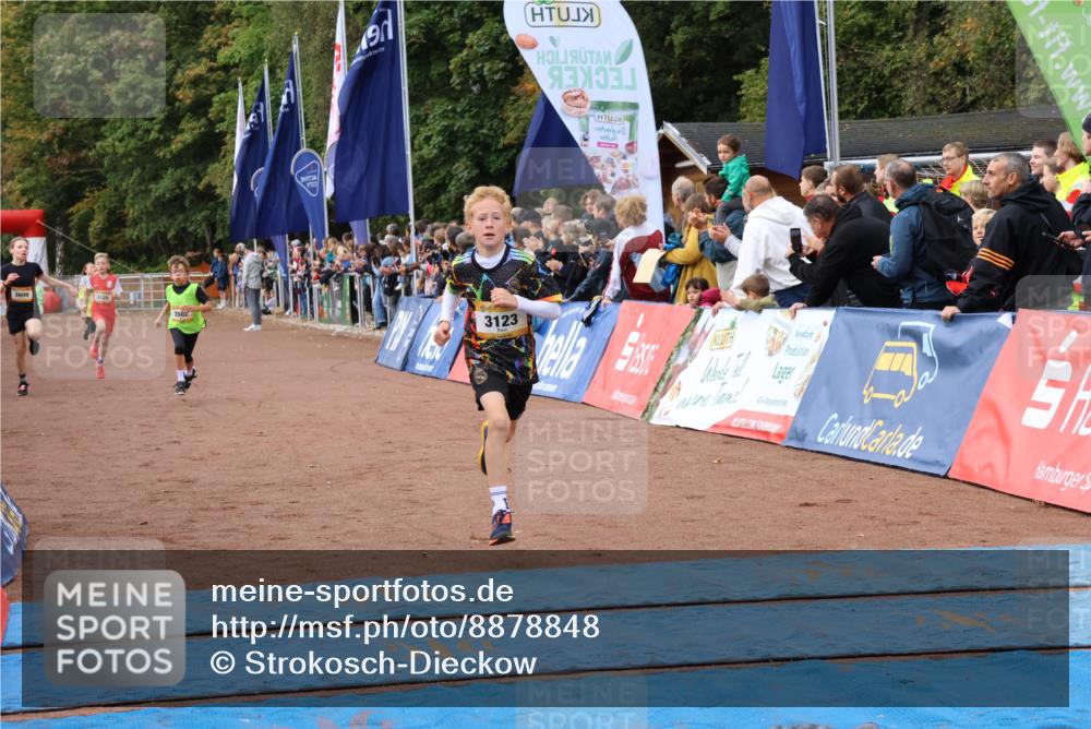 14.09.2025 - Airport Race Strokosch-Dieckow http://msf.ph/oto/8878848 14.09.2025 10:06:52 Ziel 3099, 3123, 3126, 3148, 3502, 3609 meine-sportfotos.de