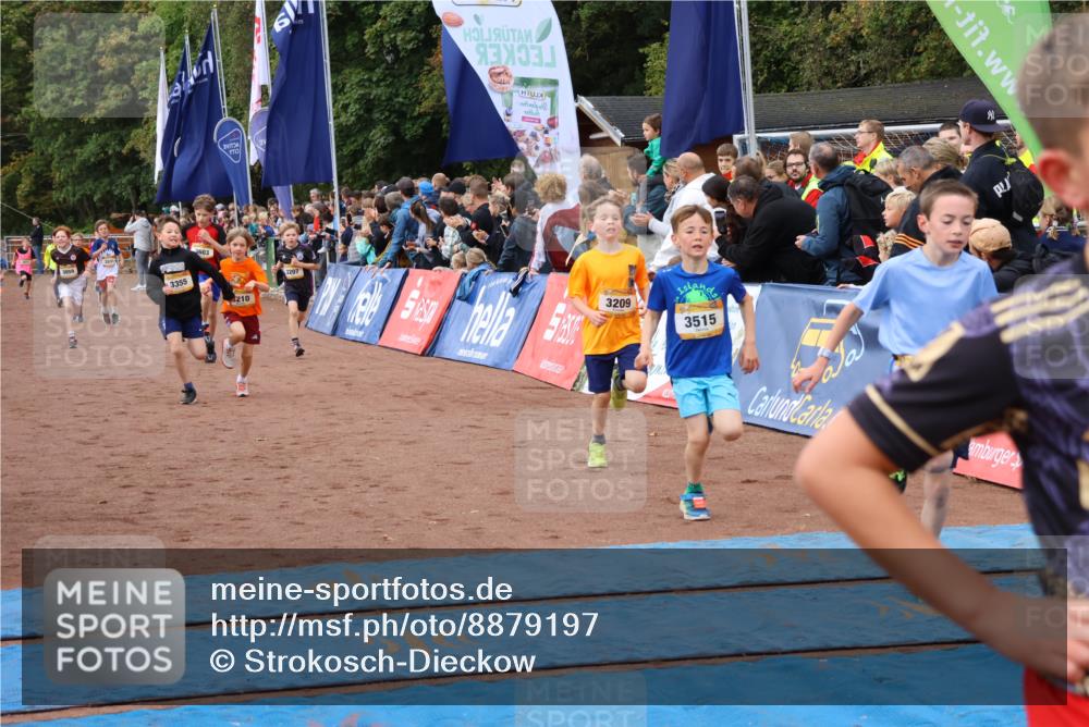 14.09.2025 - Airport Race Strokosch-Dieckow http://msf.ph/oto/8879197 14.09.2025 10:07:27 Ziel 3059, 3207, 3209, 3210, 3252, 3295, 3355, 3418, 3433, 3515, 3603, 3716 meine-sportfotos.de