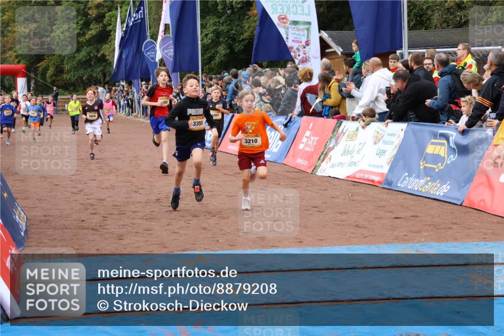 14.09.2025 - Airport Race Strokosch-Dieckow http://msf.ph/oto/8879208 14.09.2025 10:07:28 Ziel 3001, 3059, 3068, 3207, 3209, 3210, 3241, 3252, 3295, 3355, 3377, 3418, 3433, 3515, 3603, 3716, 3730 meine-sportfotos.de