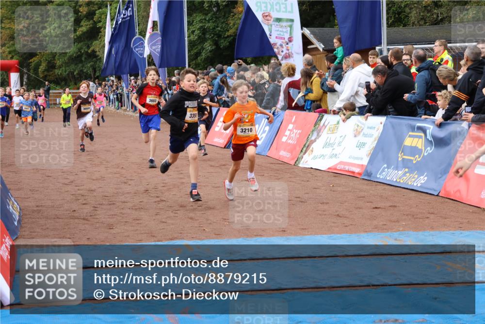 14.09.2025 - Airport Race Strokosch-Dieckow http://msf.ph/oto/8879215 14.09.2025 10:07:29 Ziel 3001, 3059, 3068, 3087, 3207, 3209, 3210, 3241, 3252, 3295, 3355, 3376, 3377, 3418, 3433, 3509, 3515, 3603, 3716, 3730 meine-sportfotos.de