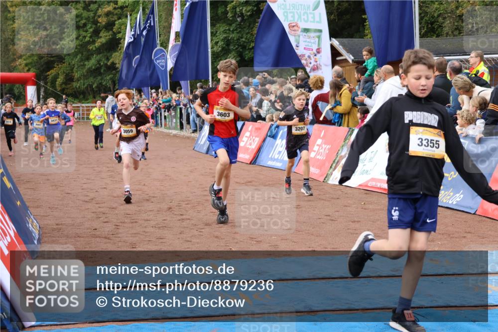 14.09.2025 - Airport Race Strokosch-Dieckow http://msf.ph/oto/8879236 14.09.2025 10:07:30 Ziel 3001, 3059, 3068, 3087, 3207, 3209, 3210, 3241, 3272, 3295, 3355, 3376, 3377, 3418, 3433, 3509, 3515, 3603, 3716, 3730 meine-sportfotos.de