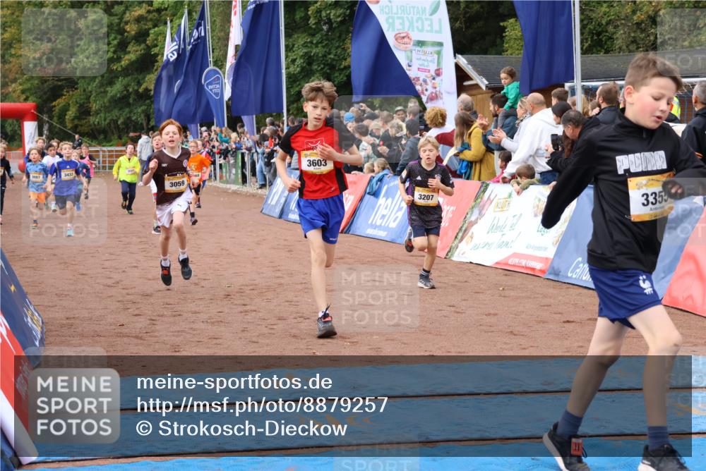 14.09.2025 - Airport Race Strokosch-Dieckow http://msf.ph/oto/8879257 14.09.2025 10:07:30 Ziel 3001, 3059, 3068, 3087, 3207, 3209, 3210, 3241, 3272, 3295, 3355, 3376, 3377, 3418, 3433, 3509, 3515, 3603, 3716, 3730 meine-sportfotos.de