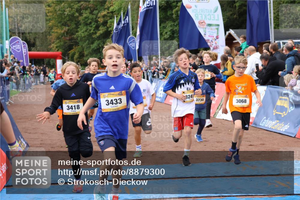 14.09.2025 - Airport Race Strokosch-Dieckow http://msf.ph/oto/8879300 14.09.2025 10:07:35 Ziel 3001, 3059, 3068, 3087, 3195, 3207, 3241, 3272, 3295, 3376, 3377, 3418, 3433, 3509, 3603, 3730, 3735 meine-sportfotos.de