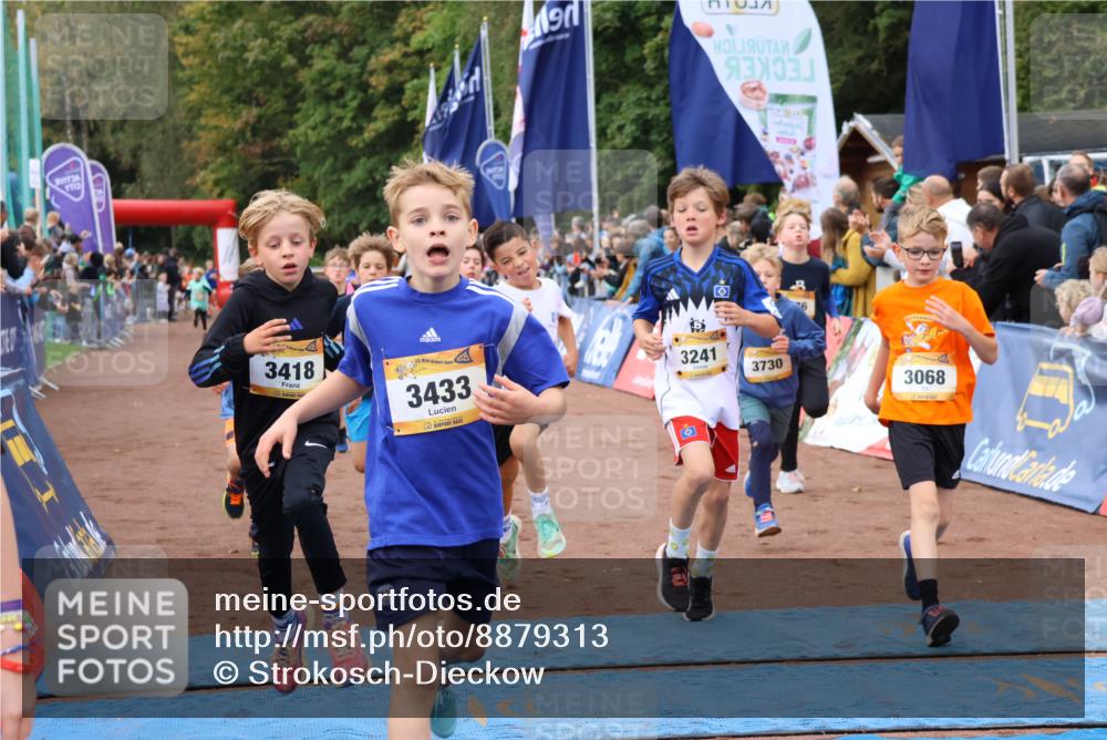 14.09.2025 - Airport Race Strokosch-Dieckow http://msf.ph/oto/8879313 14.09.2025 10:07:36 Ziel 3001, 3059, 3068, 3087, 3195, 3207, 3241, 3272, 3295, 3376, 3377, 3418, 3433, 3509, 3603, 3730, 3735 meine-sportfotos.de