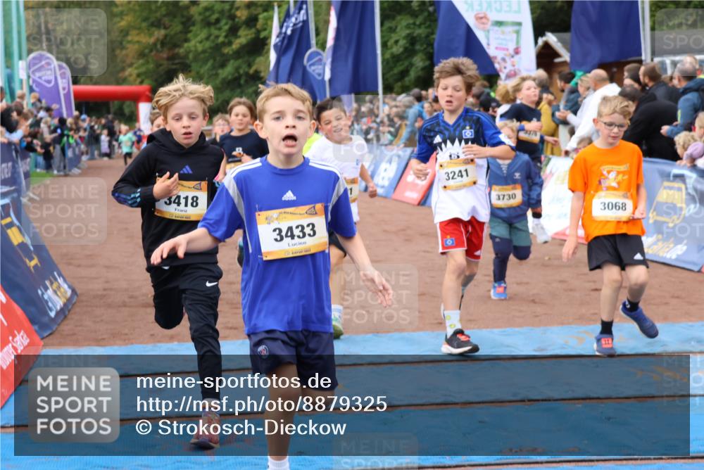 14.09.2025 - Airport Race Strokosch-Dieckow http://msf.ph/oto/8879325 14.09.2025 10:07:36 Ziel 3001, 3059, 3068, 3087, 3195, 3207, 3241, 3272, 3295, 3376, 3377, 3418, 3433, 3509, 3603, 3730, 3735 meine-sportfotos.de