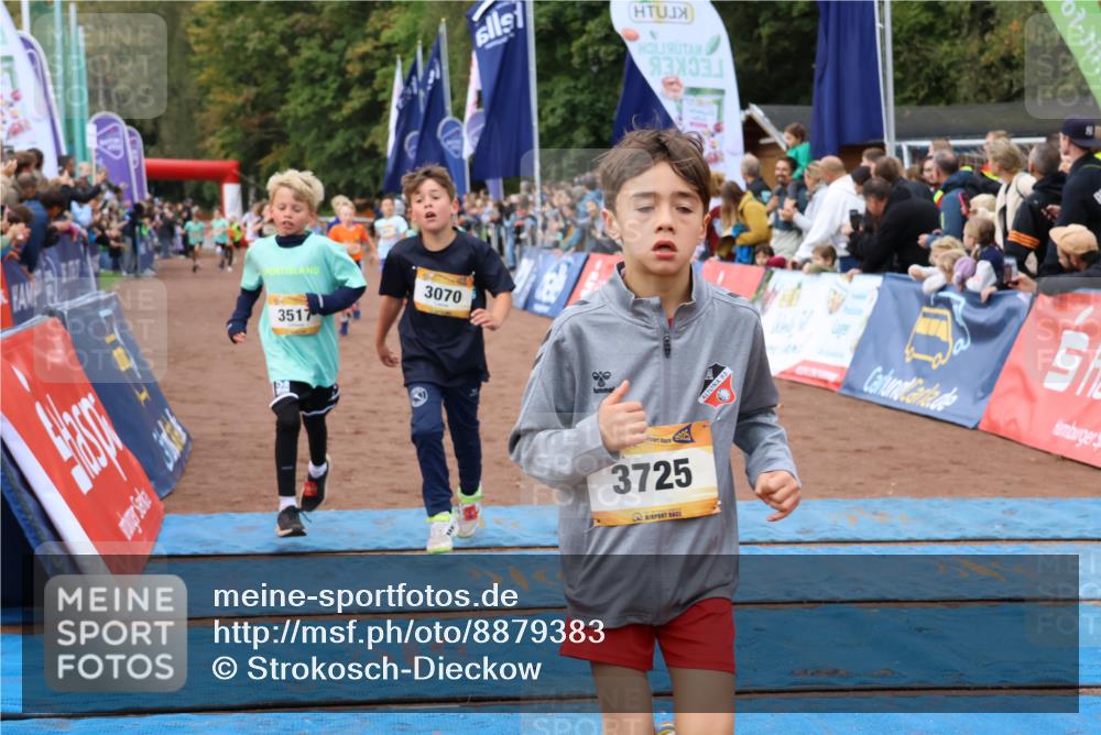14.09.2025 - Airport Race Strokosch-Dieckow http://msf.ph/oto/8879383 14.09.2025 10:07:47 Ziel 3046, 3070, 3175, 3203, 3211, 3222, 3230, 3428, 3517, 3526, 3542, 3725, 3735 meine-sportfotos.de