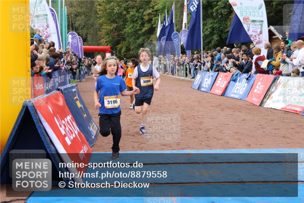 14.09.2025 - Airport Race Strokosch-Dieckow http://msf.ph/oto/8879558 14.09.2025 10:08:07 Ziel 3007, 3079, 3088, 3092, 3196, 3262, 3302, 3396, 3397, 3438, 3605, 3743 meine-sportfotos.de