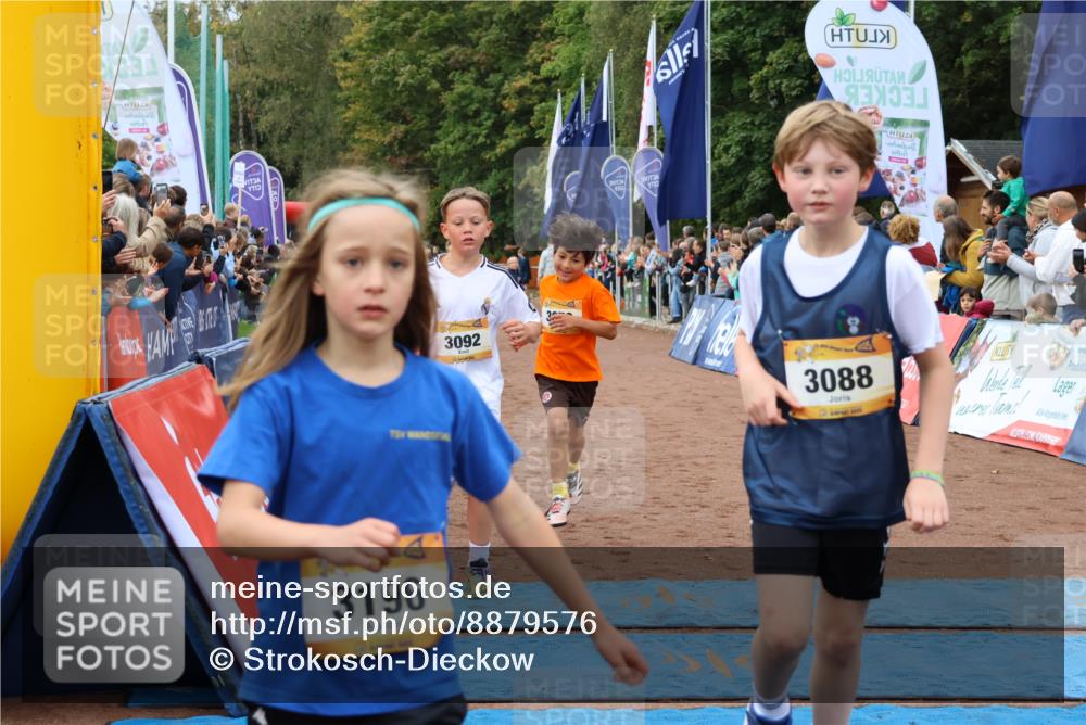 14.09.2025 - Airport Race Strokosch-Dieckow http://msf.ph/oto/8879576 14.09.2025 10:08:09 Ziel 3007, 3079, 3088, 3092, 3196, 3262, 3302, 3307, 3366, 3371, 3373, 3396, 3438, 3522, 3605, 3743 meine-sportfotos.de