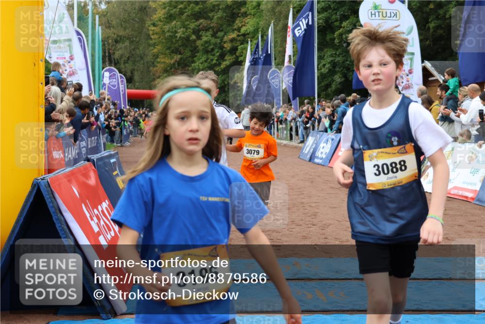 14.09.2025 - Airport Race Strokosch-Dieckow http://msf.ph/oto/8879586 14.09.2025 10:08:10 Ziel 3007, 3079, 3088, 3092, 3196, 3262, 3302, 3307, 3366, 3371, 3373, 3396, 3522, 3605, 3743 meine-sportfotos.de