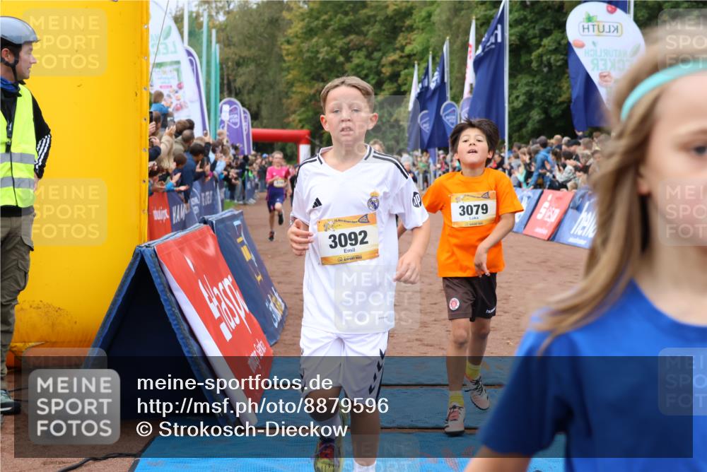 14.09.2025 - Airport Race Strokosch-Dieckow http://msf.ph/oto/8879596 14.09.2025 10:08:11 Ziel 3007, 3079, 3088, 3092, 3094, 3196, 3262, 3302, 3307, 3366, 3371, 3373, 3396, 3522, 3605, 3743 meine-sportfotos.de