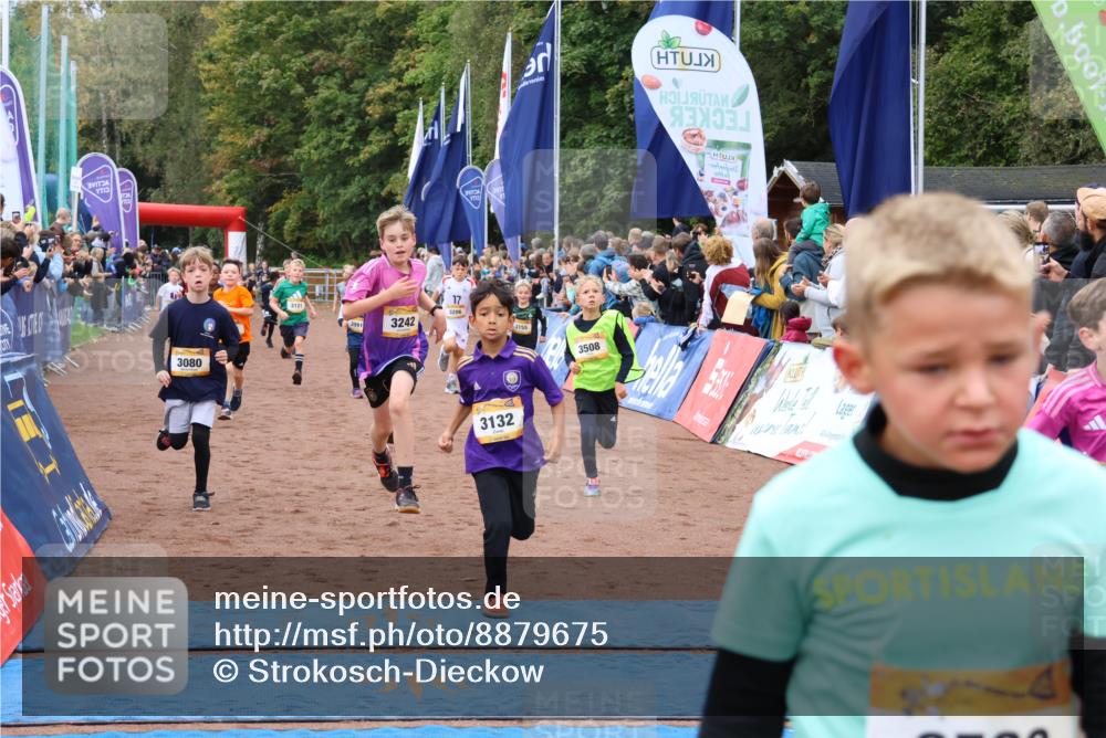 14.09.2025 - Airport Race Strokosch-Dieckow http://msf.ph/oto/8879675 14.09.2025 10:08:20 Ziel 3011, 3080, 3089, 3091, 3094, 3110, 3121, 3132, 3155, 3193, 3204, 3205, 3206, 3242, 3282, 3307, 3366, 3371, 3373, 3508, 3516, 3522, 3605 meine-sportfotos.de